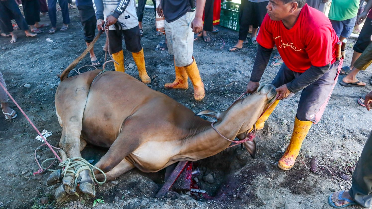 WhatsApp Image 2022-07-25 at 10.38.38