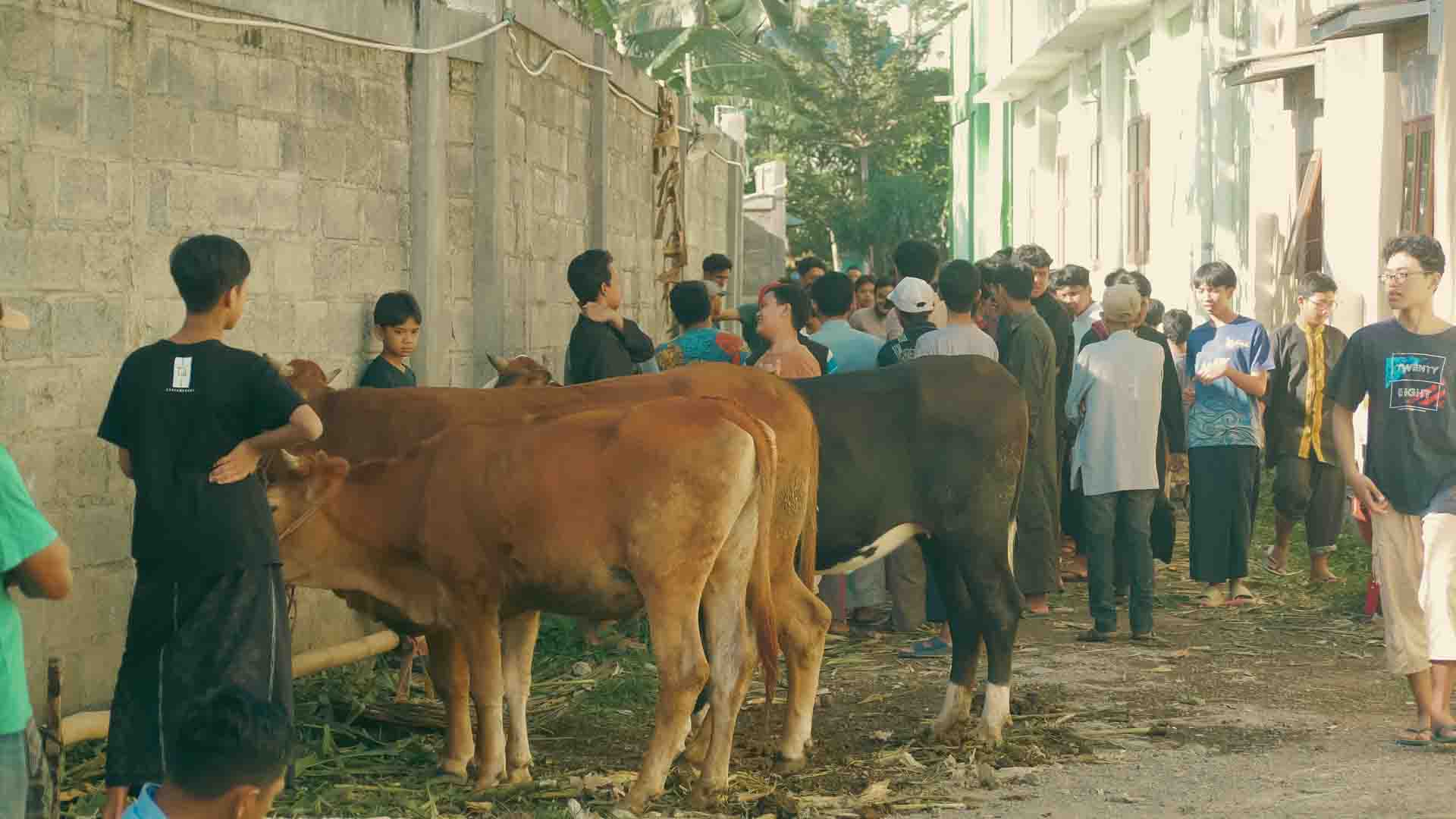IDUL ADHA 1446 3
